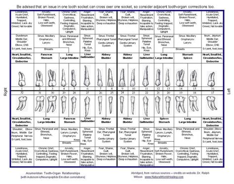 hensley teeth size chart